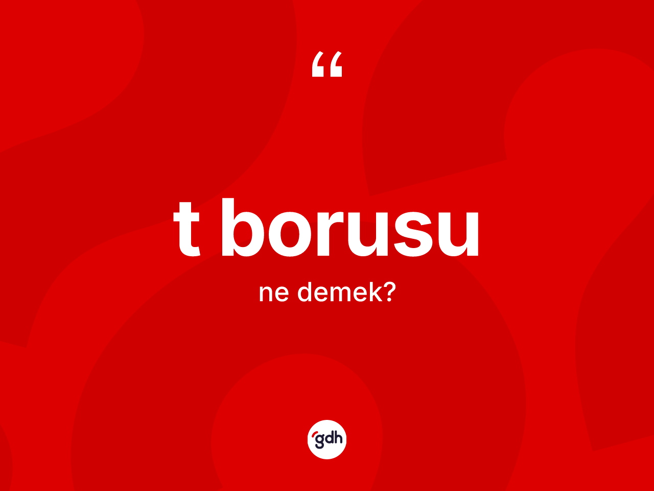 T borusu kelimesinin tanımı nedir? T borusunun TDK'ya göre anlamı nedir?