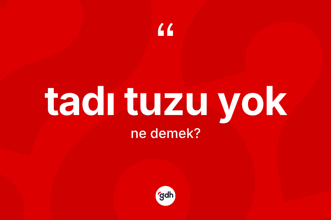 Tadı tuzu yok ifadesinin tanımı nedir?