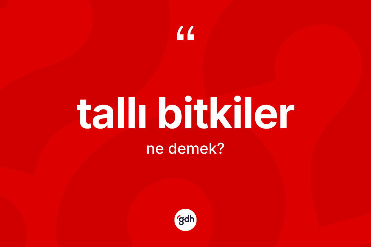 Tallı bitkiler kelimesi ne anlama gelir?