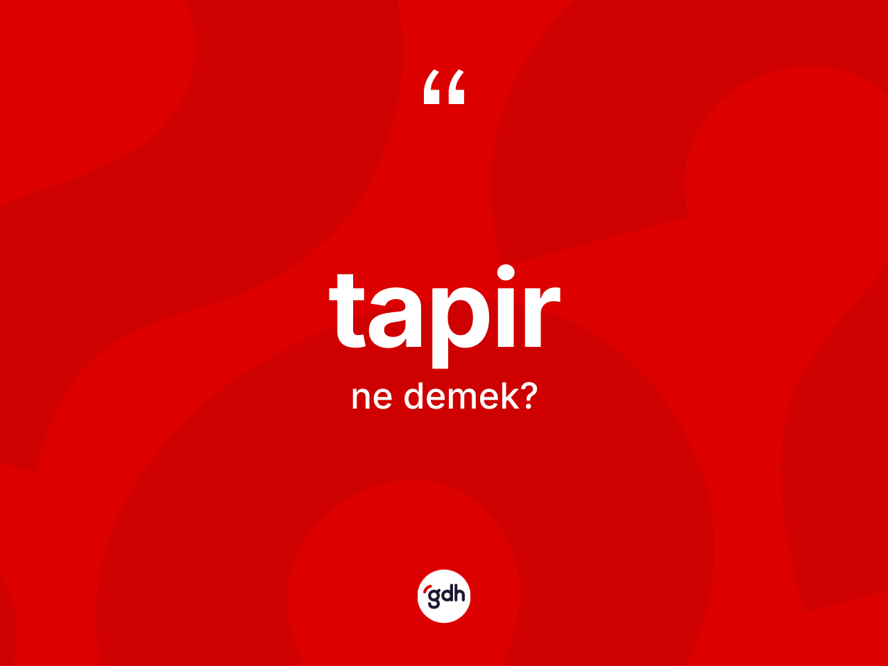 Tapir kelimesinin anlamı nedir? Tapirin TDK'ya göre anlamı nedir?