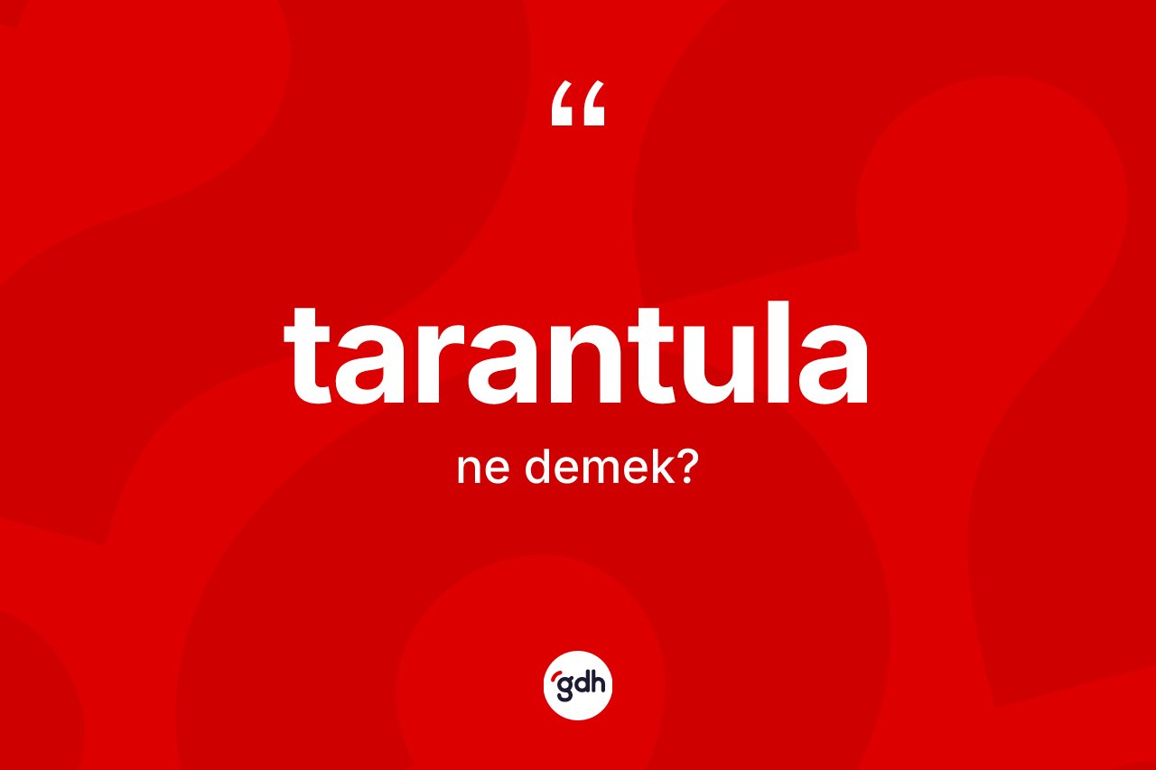 Tarantula kelimesi nedir?