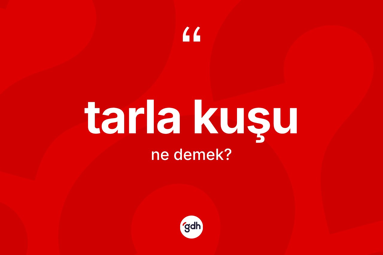 Tarla kuşu nedir?