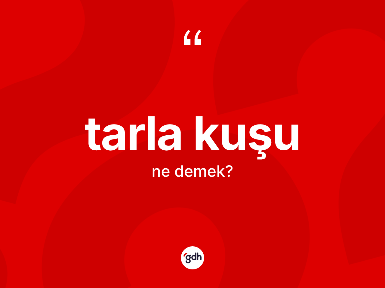Tarla kuşu nedir? Tarla kuşunun TDK'ya göre anlamı nedir?