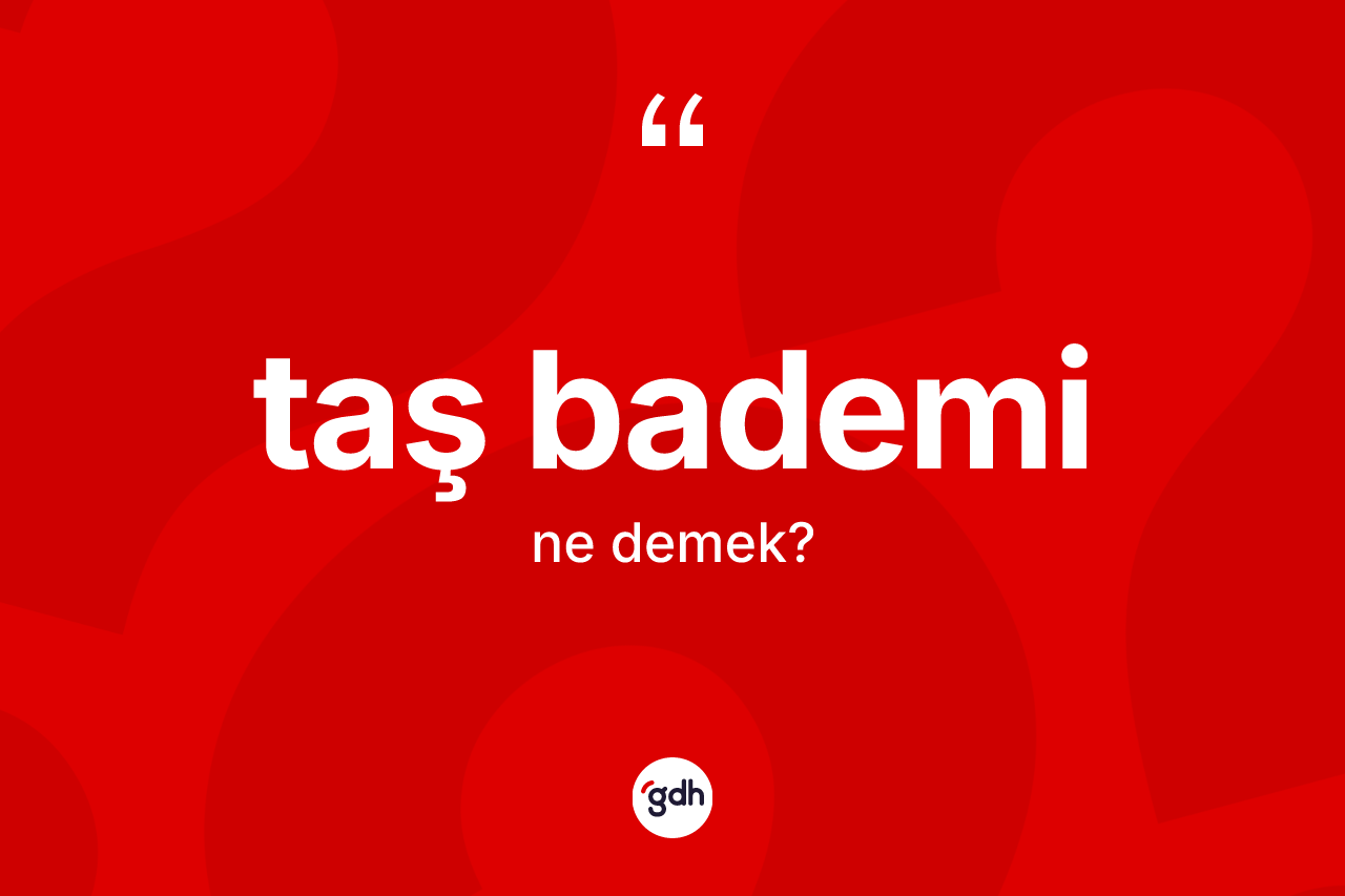 Taş bademi kelimesinin sözlükteki tanımı nedir? Taş bademinin halk arasındaki kullanımı nasıldır?