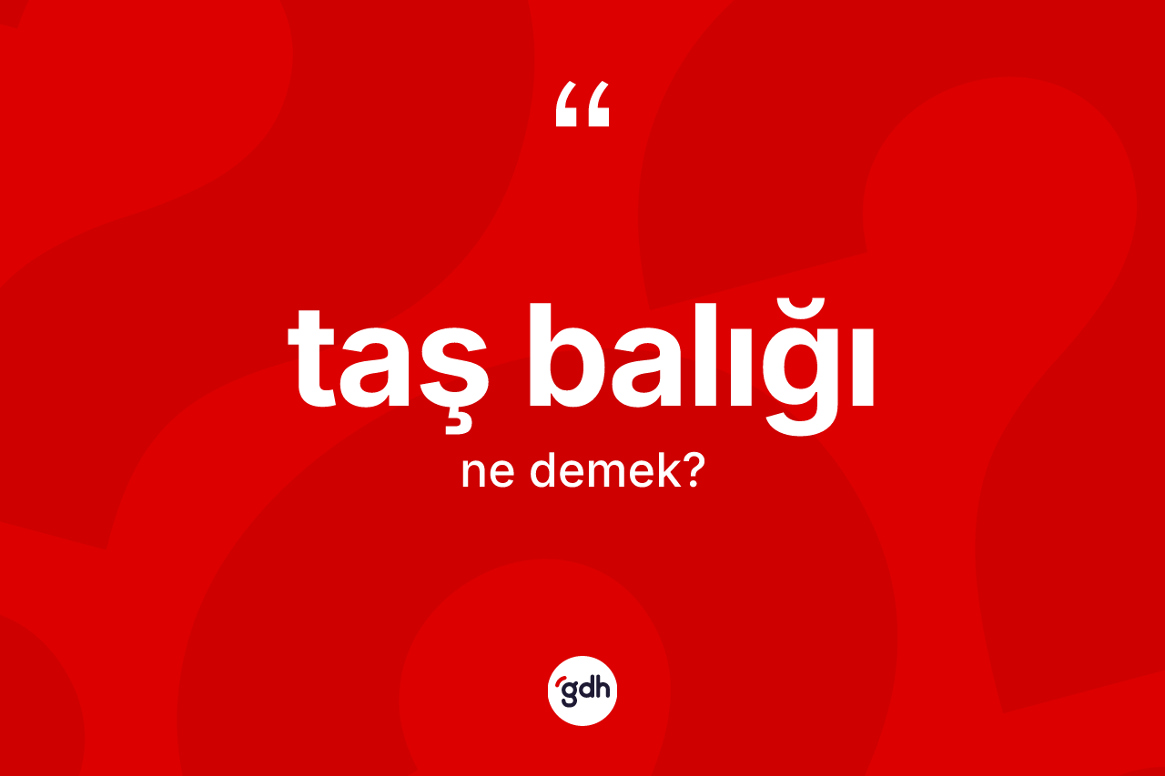Taş balığı ne anlama gelir? Taş balığı kelimesinin özellikleri nelerdir?