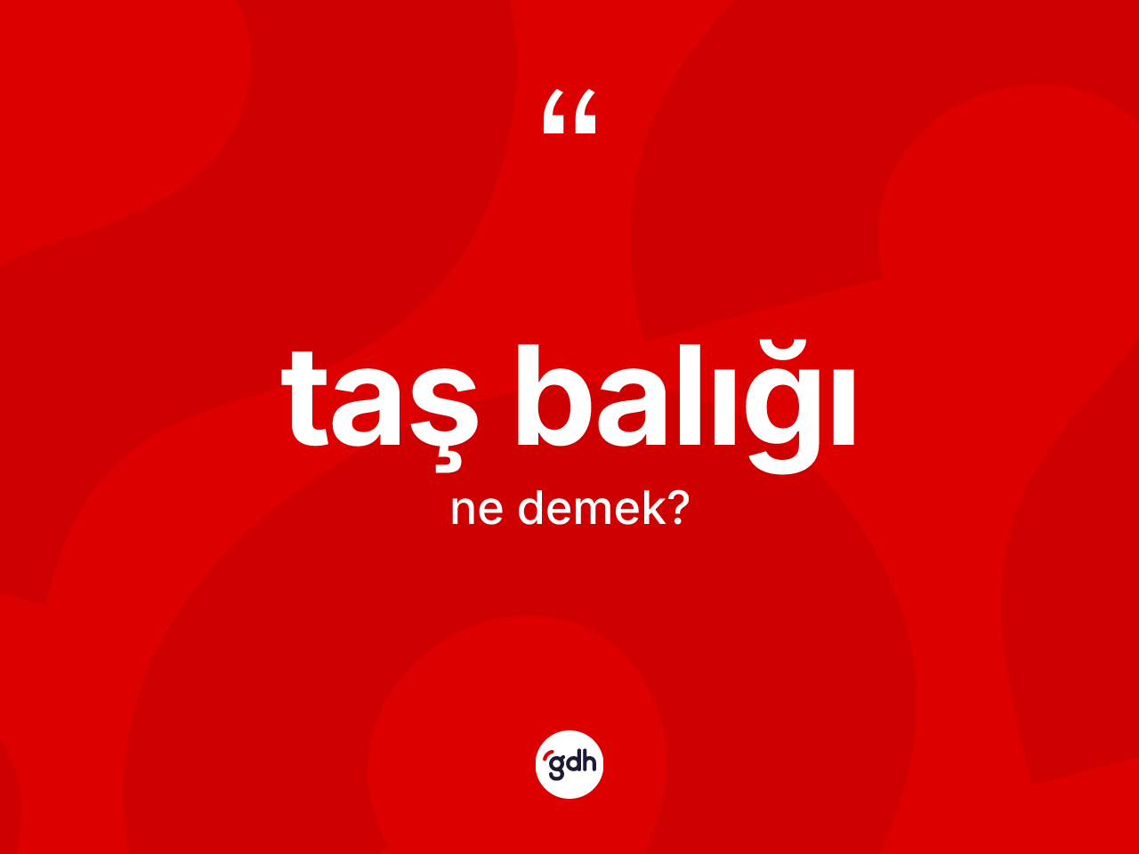 Taş balığı ne anlama gelir? Taş balığı kelimesinin özellikleri nelerdir?