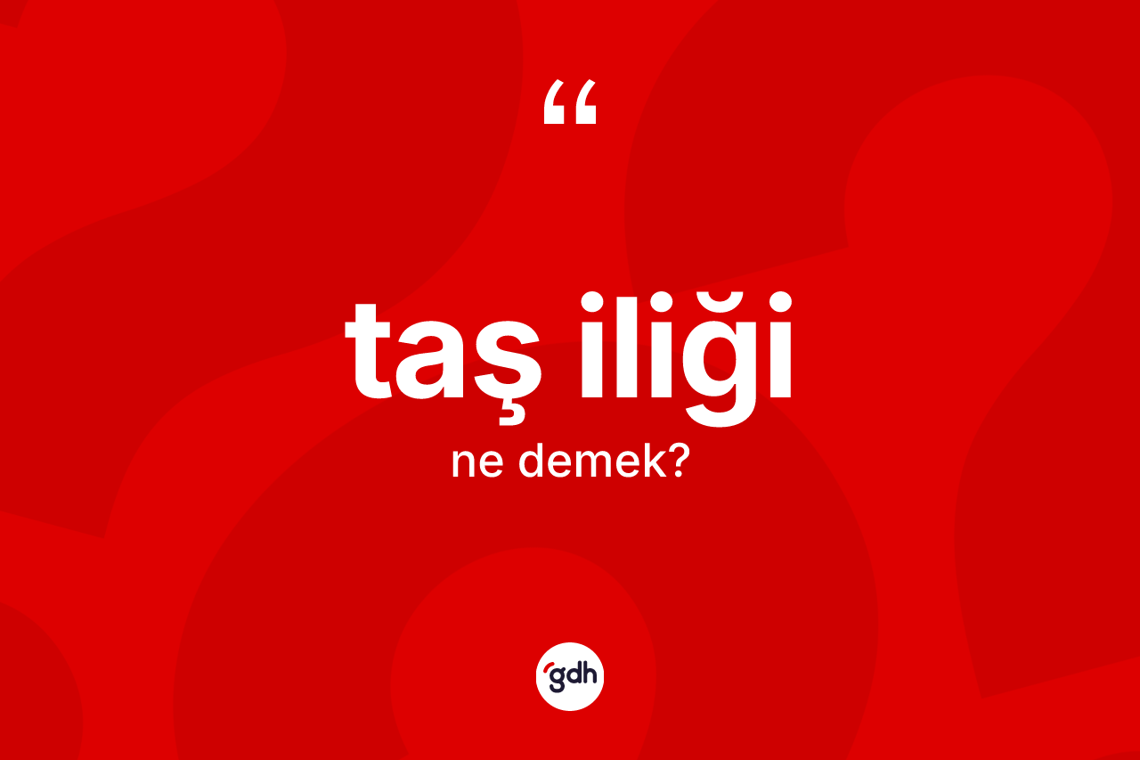Taş iliği kelimesi ne demek? Taş iliği kelimesinin TDK'ya göre açıklaması nedir?