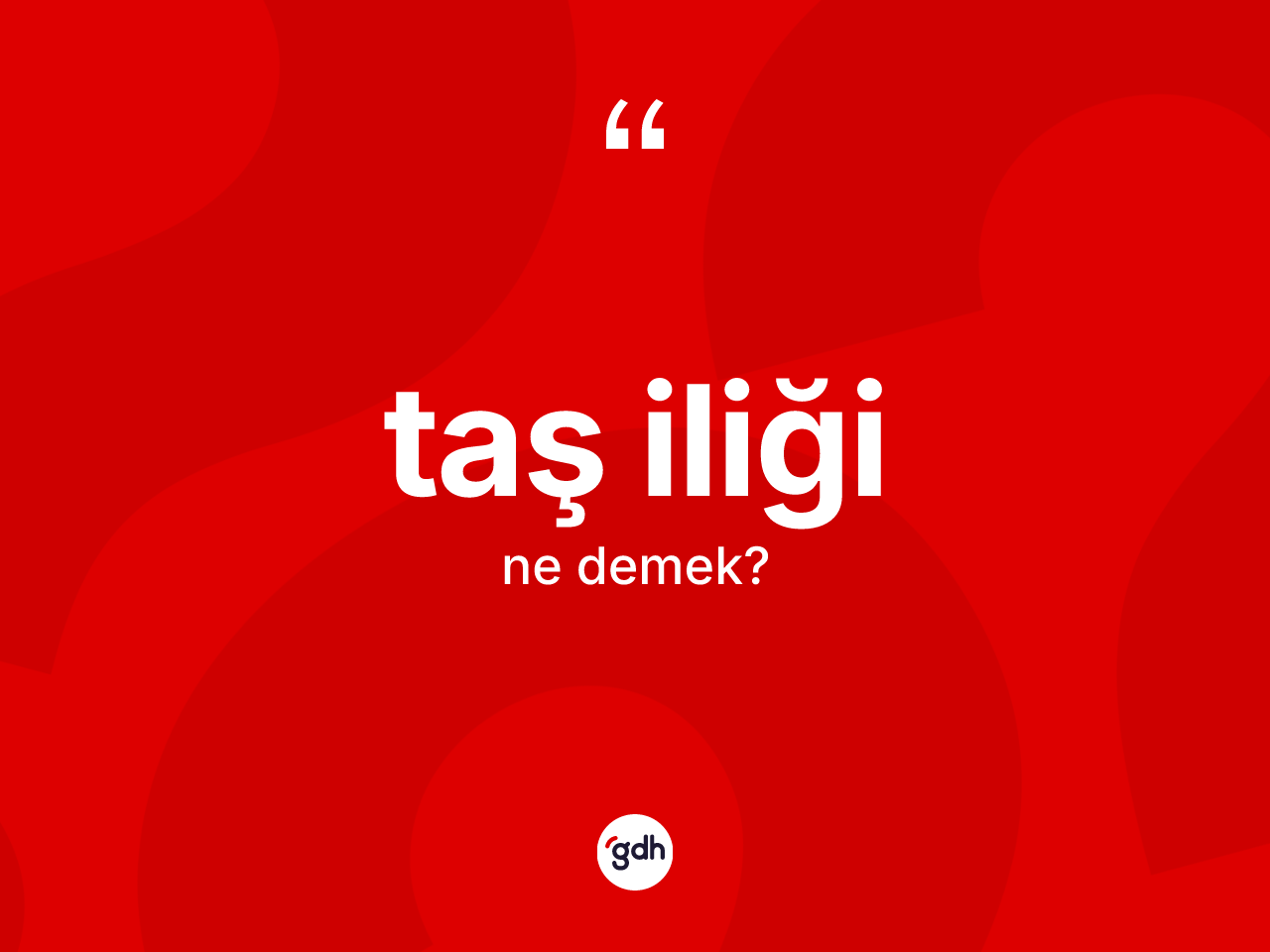 Taş iliği kelimesi ne demek? Taş iliği kelimesinin TDK'ya göre açıklaması nedir?