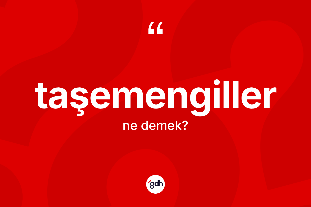 Taşemengiller kelimesi nedir? Taşemengillerin sözlükteki anlamı nedir?