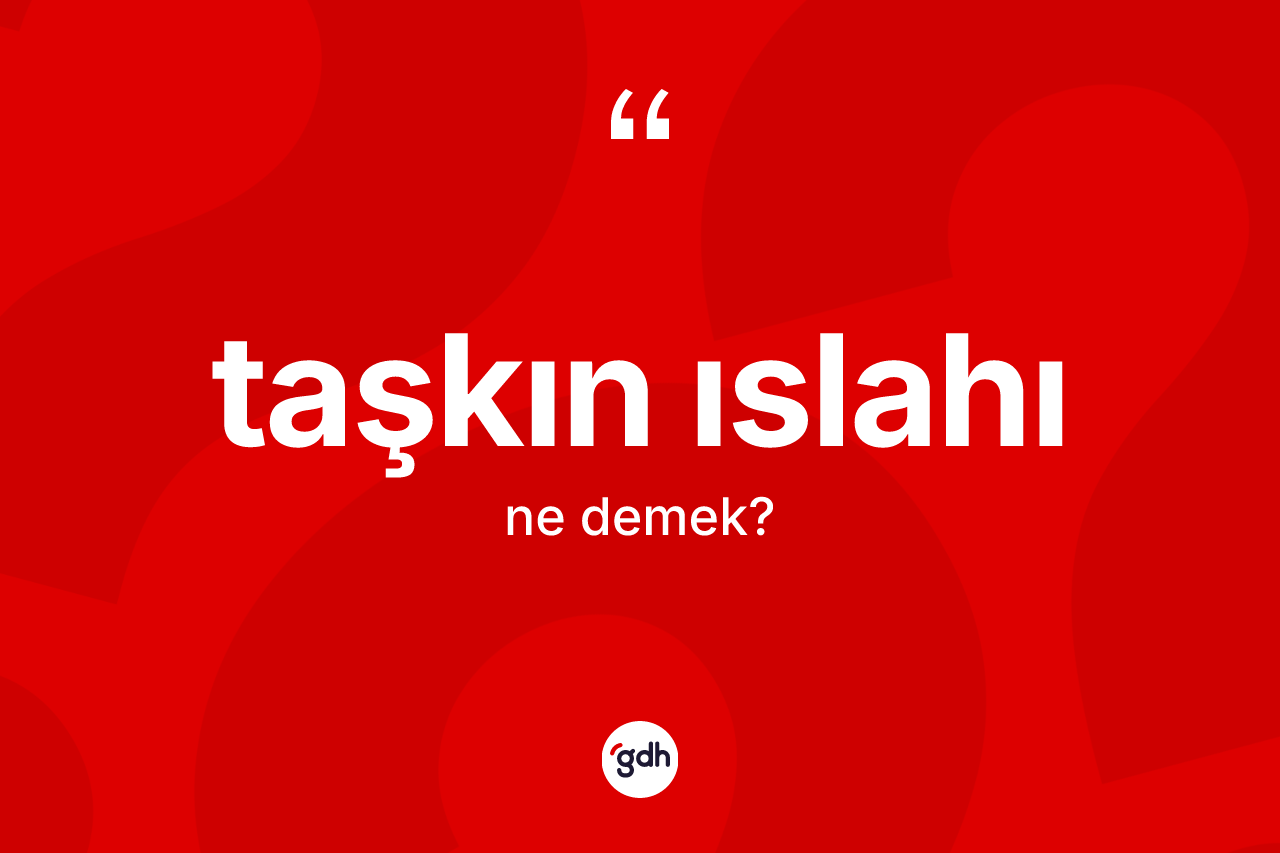 Taşkın ıslahı nedir? Taşkın ıslahının TDK'ya göre anlamı nedir?