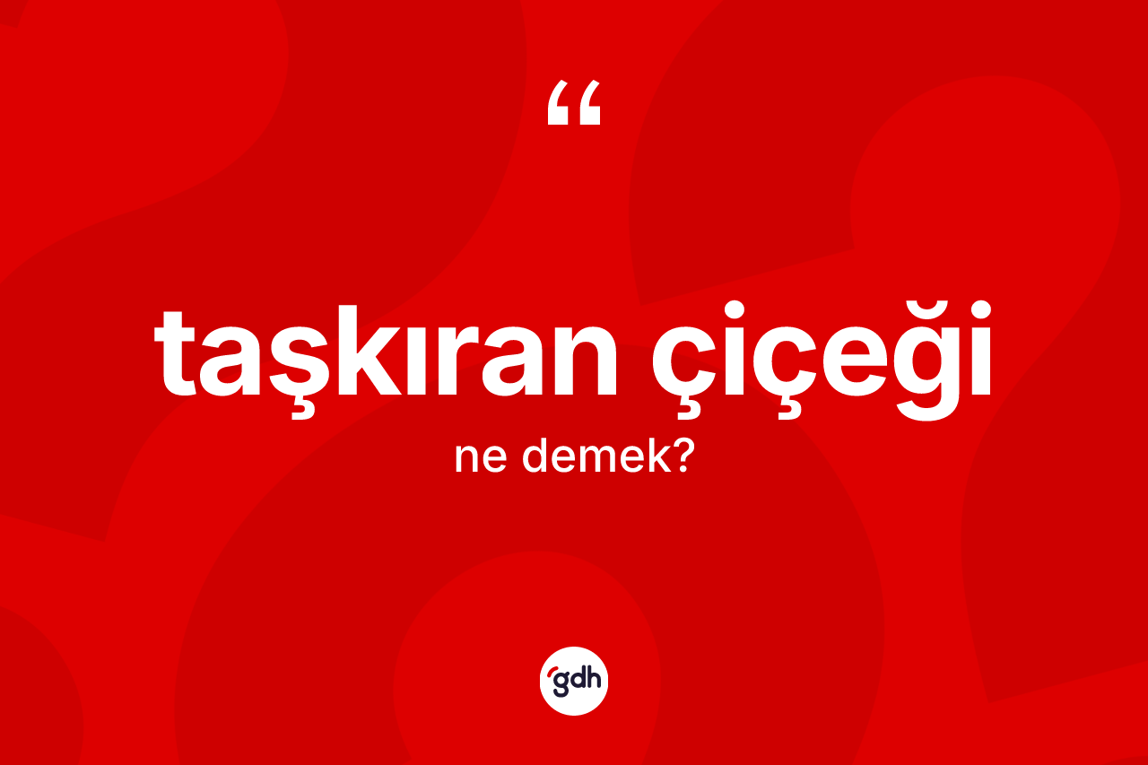 Taşkıran çiçeği kelimesi nedir? Taşkıran çiçeğinin TDK'ya göre anlamı nedir?