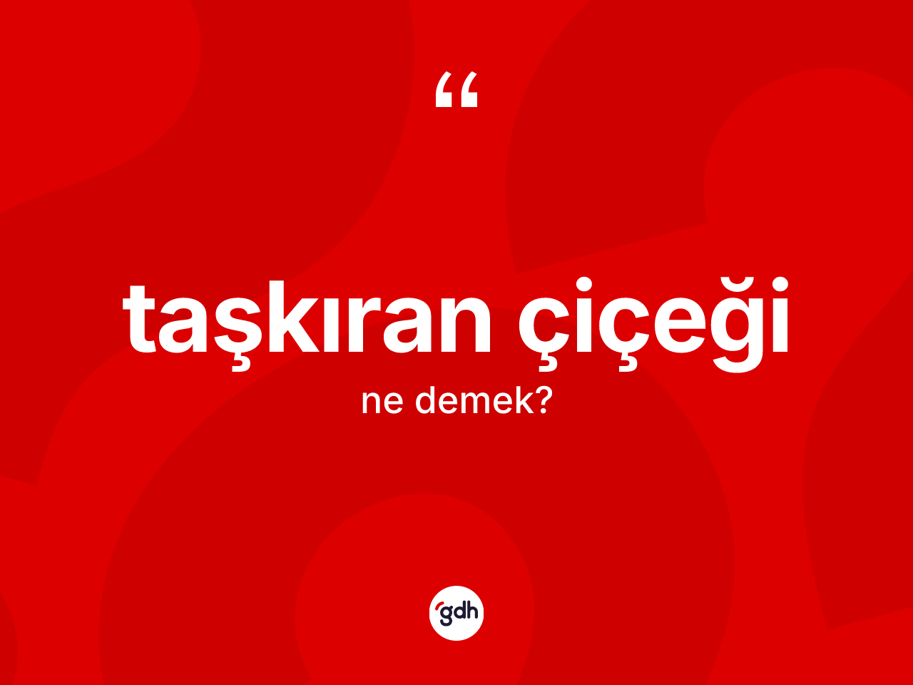 Taşkıran çiçeği kelimesi nedir? Taşkıran çiçeğinin TDK'ya göre anlamı nedir?