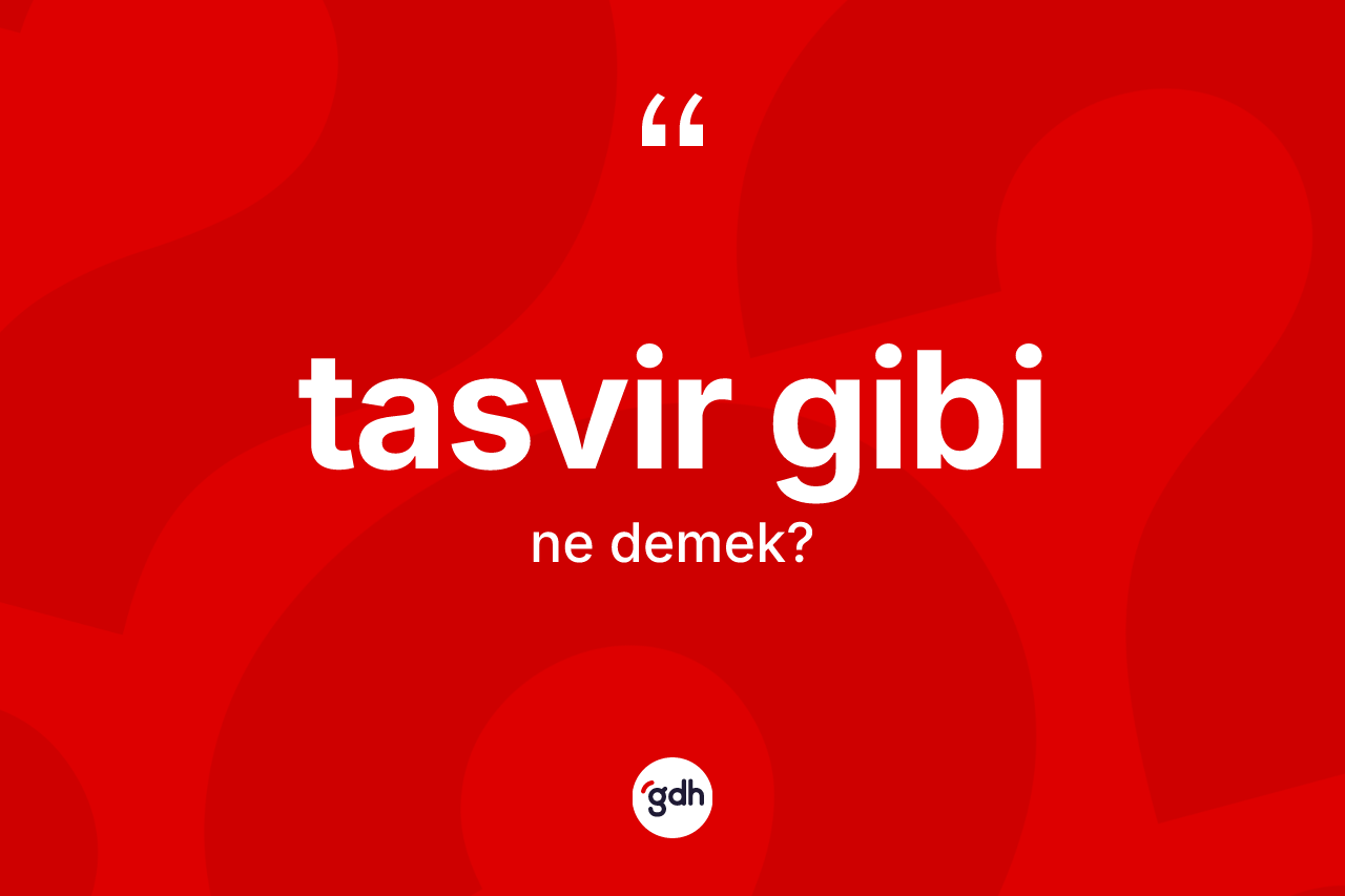 Tasvir gibi sözü ne demek? Tasvir gibi ifadesinin TDK anlamı nedir?