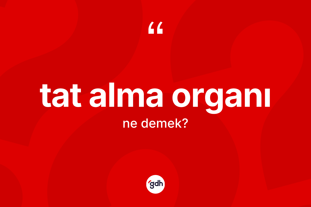 Tat alma organı kelimesi ne demek? Tat alma organının TDK'ya göre anlamı nedir?