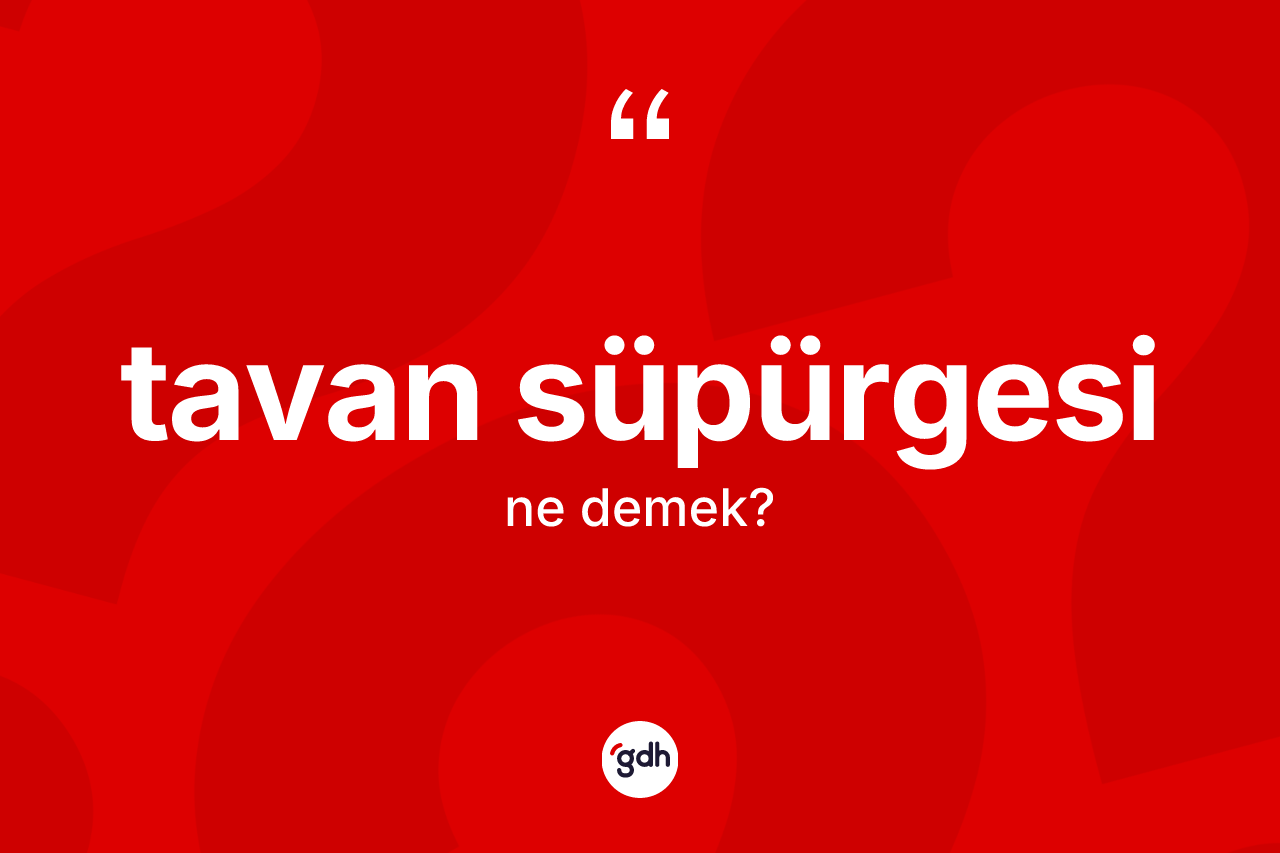 Tavan süpürgesi kelimesinin anlamı nedir?