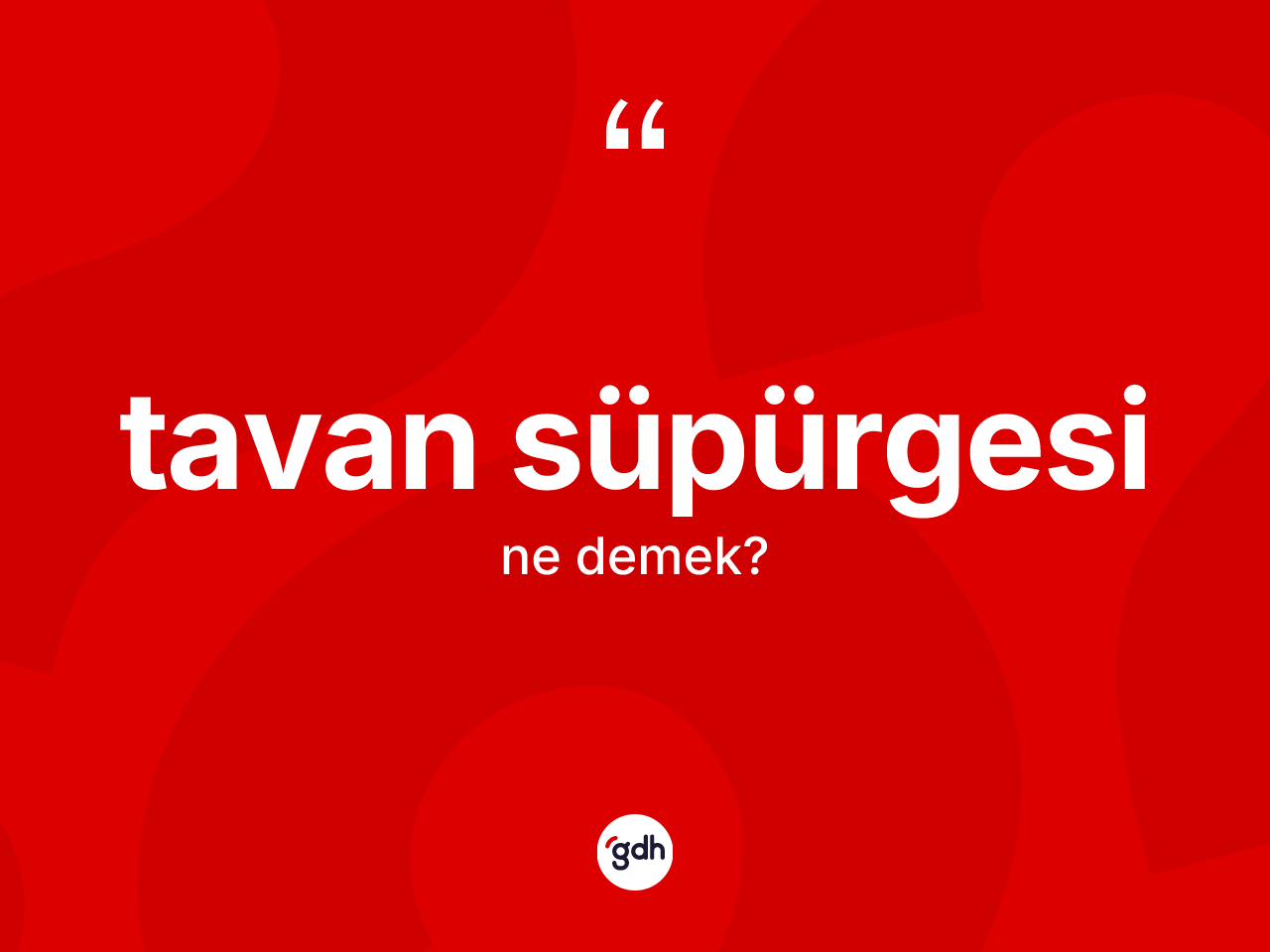 Tavan süpürgesi kelimesinin anlamı nedir? Tavan süpürgesi kelimesinin özellikleri nelerdir?