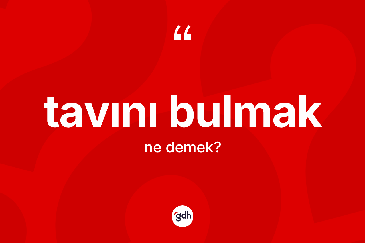 Tavını bulmak ifadesinin kısaca anlamı nedir?