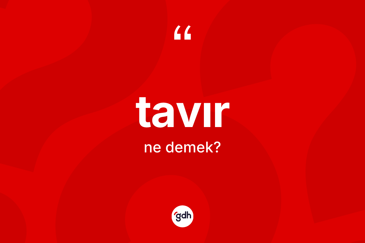 Tavır ne demek?