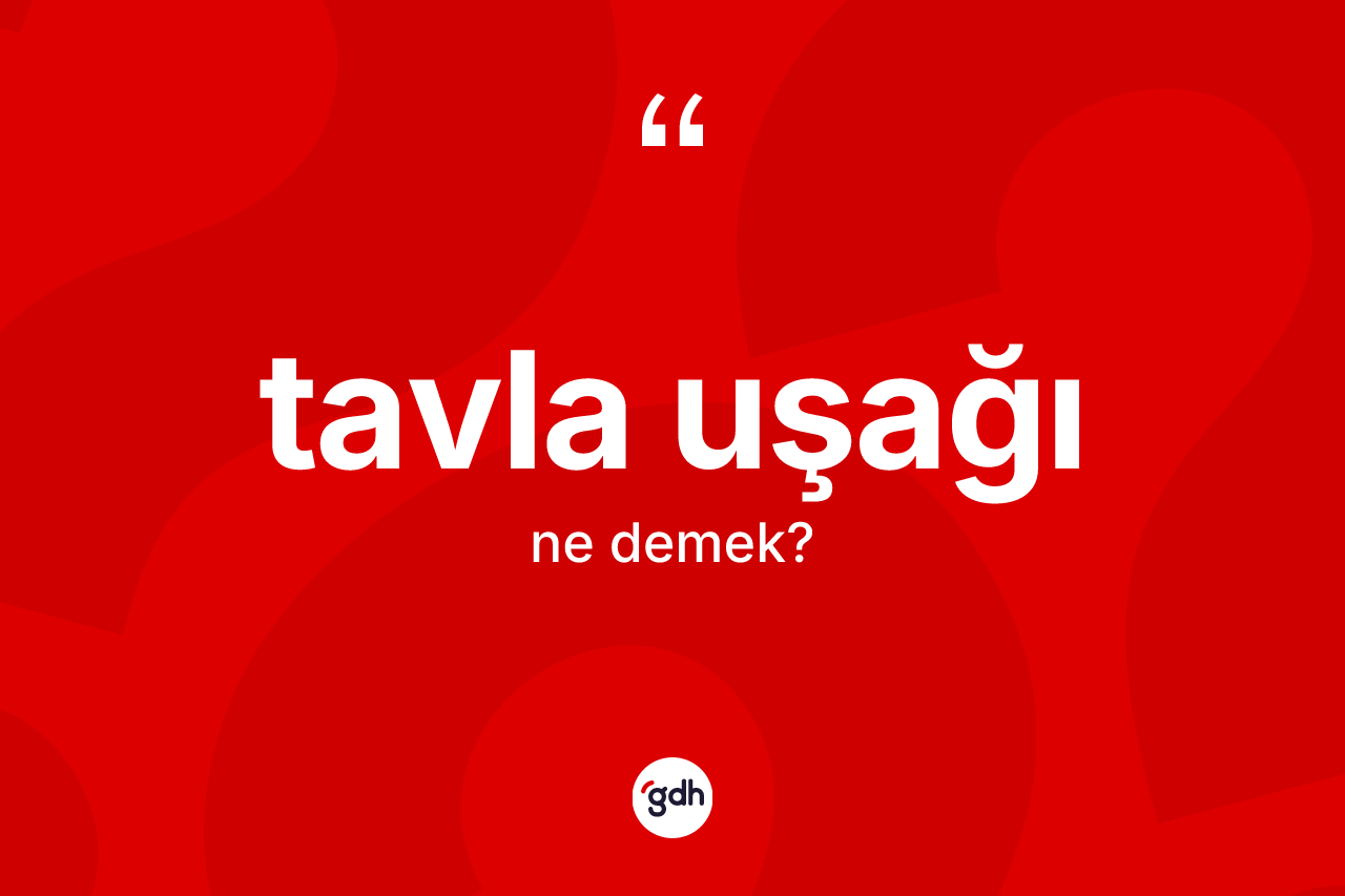 Tavla uşağı ne demek? Tavla uşağı kelimesinin TDK anlamı nedir?