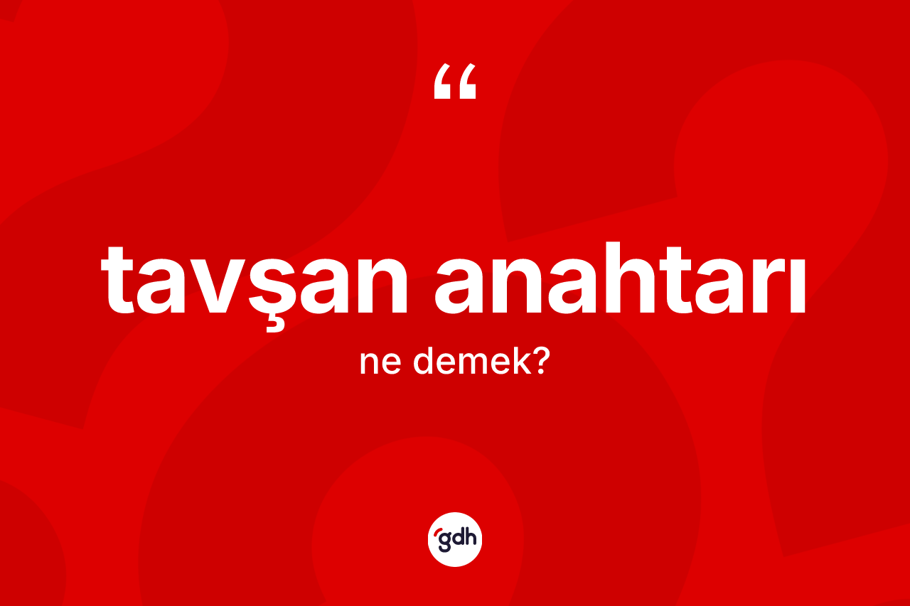 Tavşan anahtarı kelimesinin tanımı nedir? Tavşan anahtarının sözlükteki anlamı nedir?