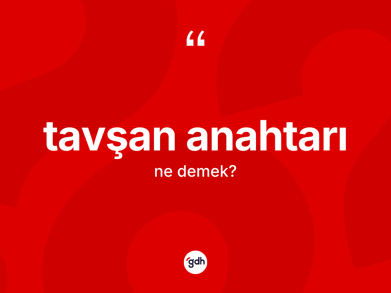 Tavşan anahtarı kelimesinin tanımı nedir? Tavşan anahtarının sözlükteki anlamı nedir?