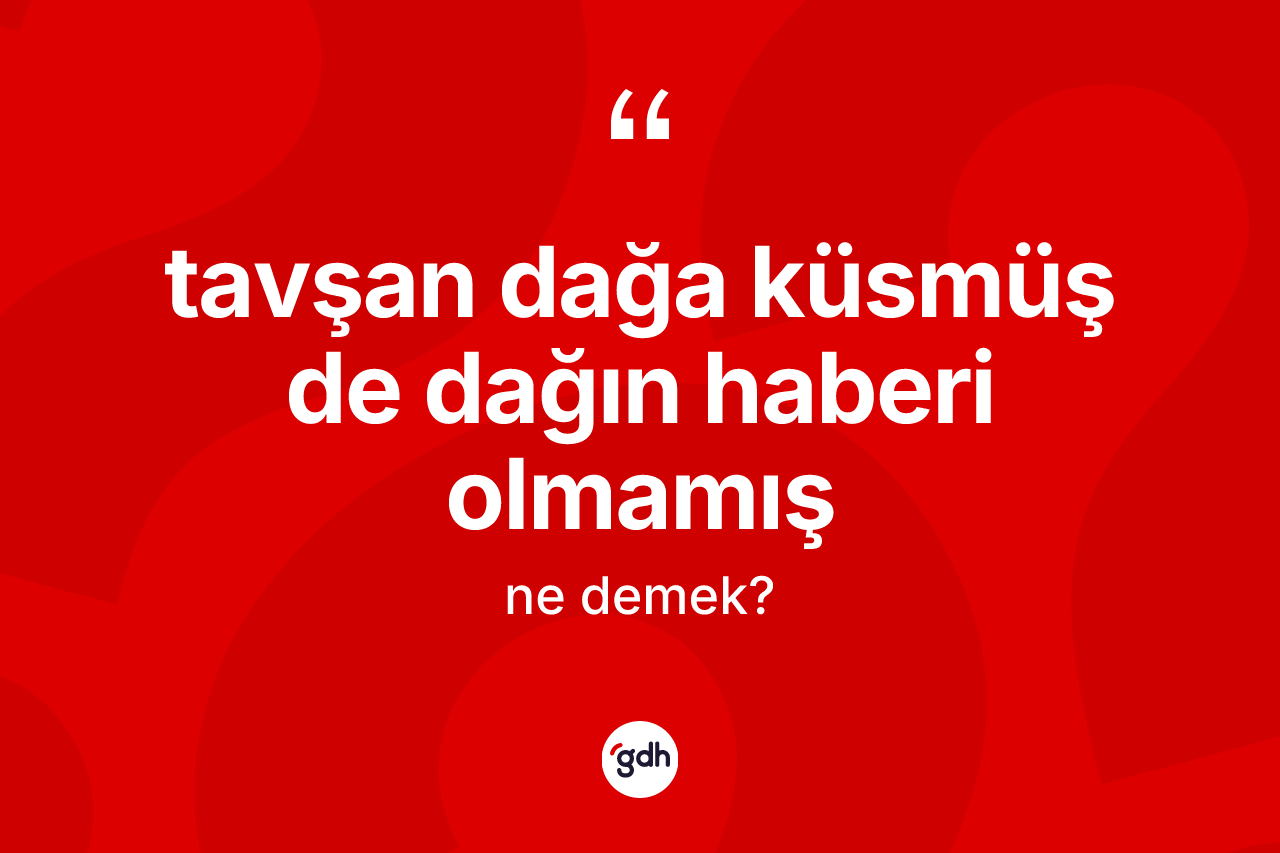 Tavşan dağa küsmüş de dağın haberi olmamış ifadesi ne demektir? Tavşan dağa küsmüş de dağın haberi olmamış ifadesi nerede kullanılır?
