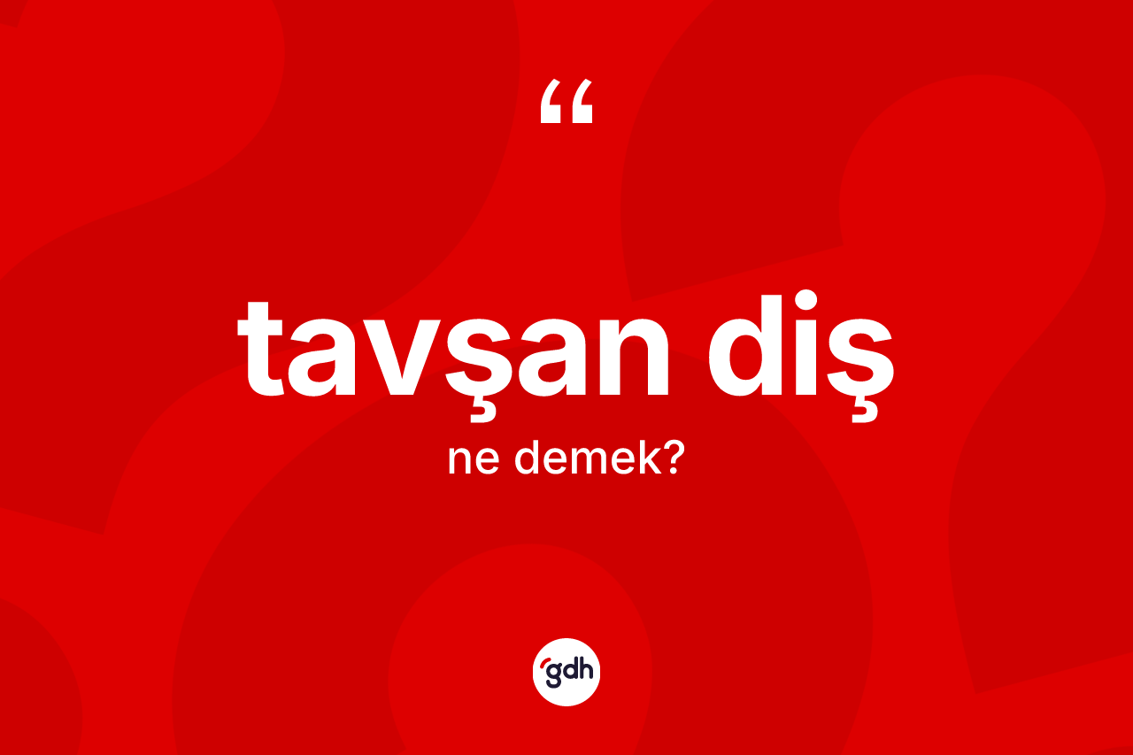 Tavşan diş nedir? Tavşan diş kelimesinin TDK'ya göre açıklaması nedir?
