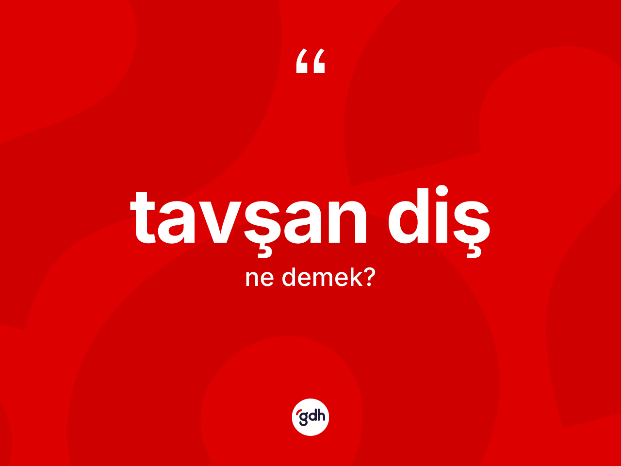 Tavşan diş nedir? Tavşan diş kelimesinin TDK'ya göre açıklaması nedir?