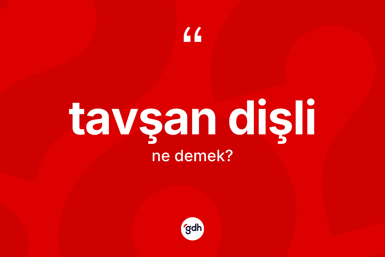 Tavşan dişli kelimesinin tanımı nedir? Tavşan dişlinin TDK'ya göre anlamı nedir?