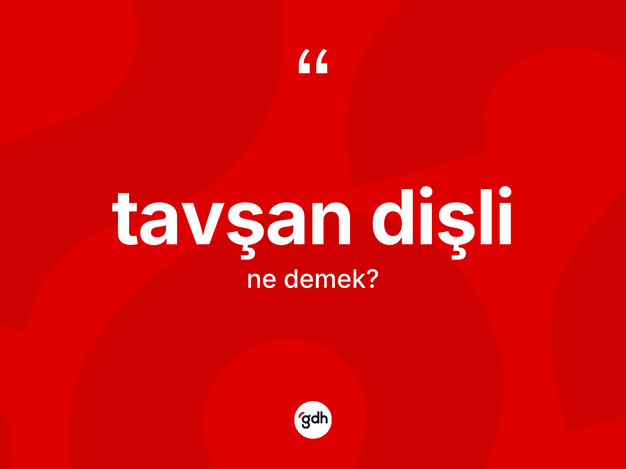 Tavşan dişli kelimesinin tanımı nedir? Tavşan dişlinin TDK'ya göre anlamı nedir?