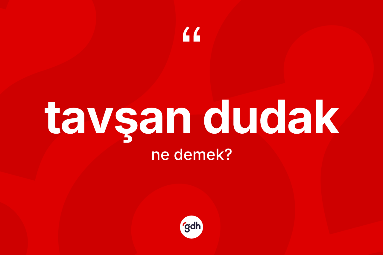 Tavşan dudak kelimesinin tanımı nedir? Tavşan dudak kelimesinin TDK'ya göre açıklaması nedir?