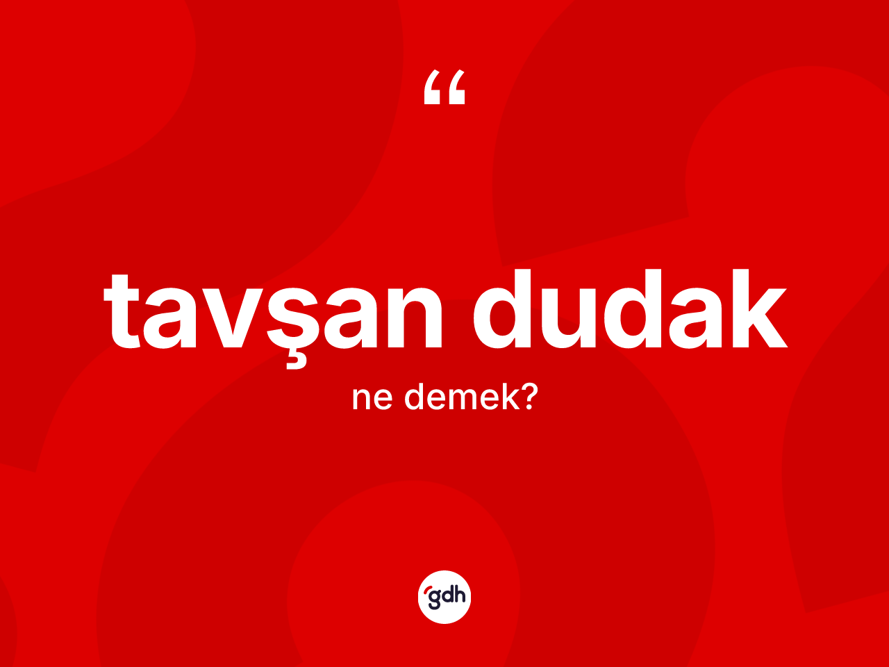 Tavşan dudak kelimesinin tanımı nedir? Tavşan dudak kelimesinin TDK'ya göre açıklaması nedir?