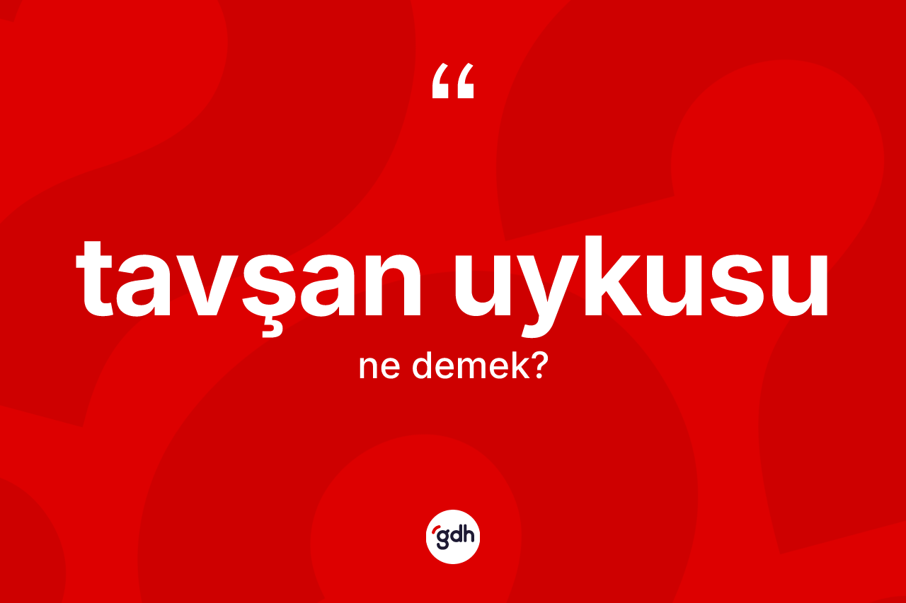Tavşan uykusu kelimesinin tanımı nedir?