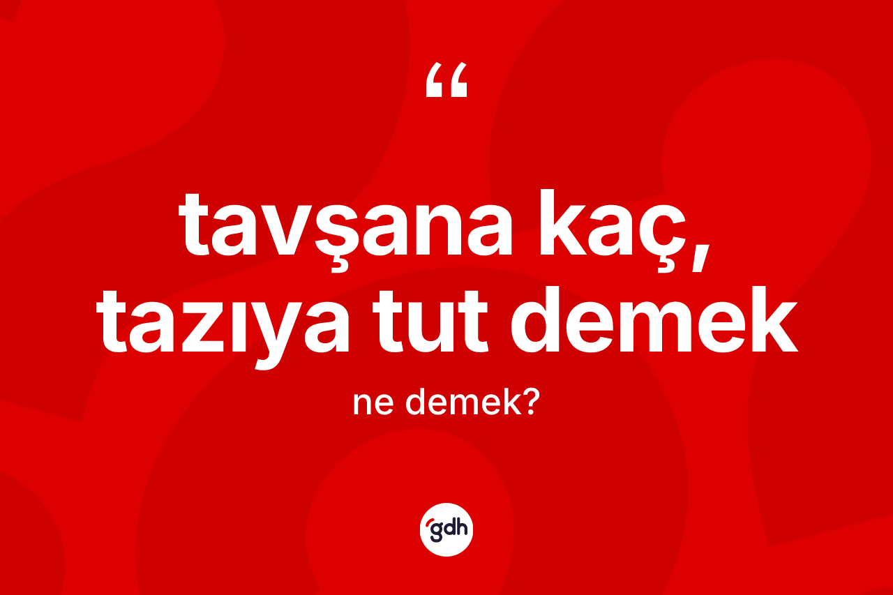 Tavşana kaç, tazıya tut demek ifadesinin tanımı nedir?
