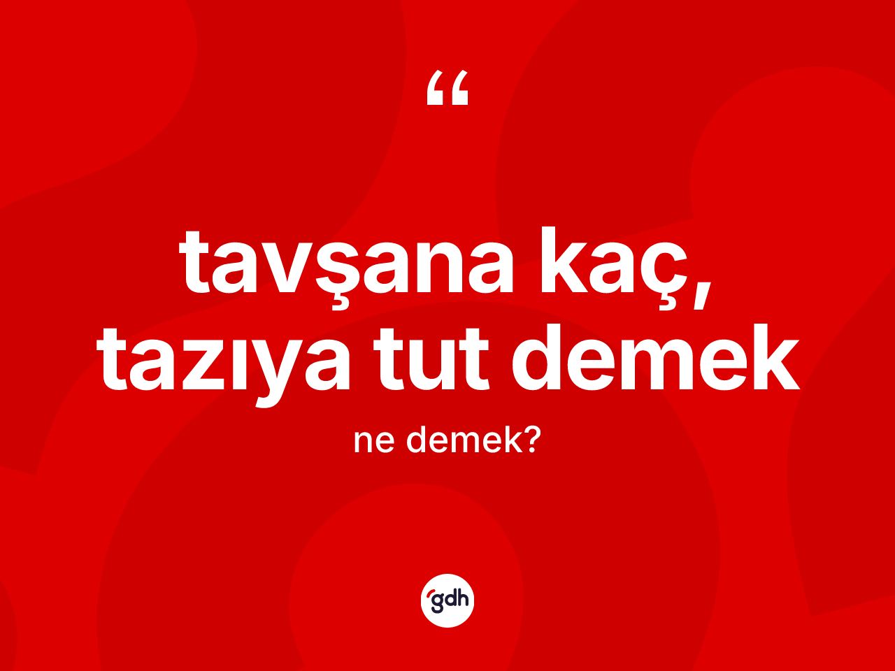 Tavşana kaç, tazıya tut demek ifadesinin tanımı nedir? Tavşana kaç, tazıya tut demek sözü nerede kullanılır?
