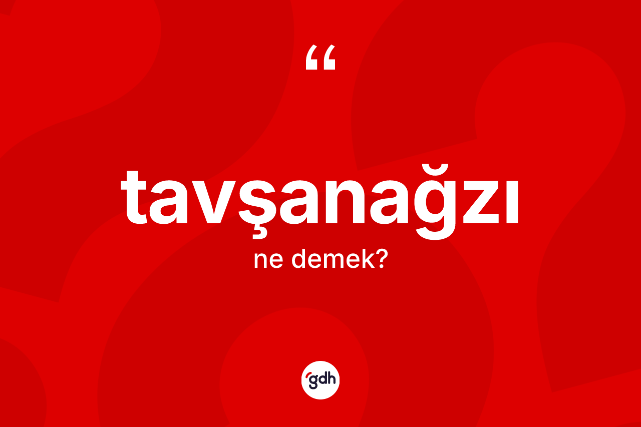Tavşanağzı kelimesinin tanımı nedir? Tavşanağzı kelimesinin TDK anlamı nedir?