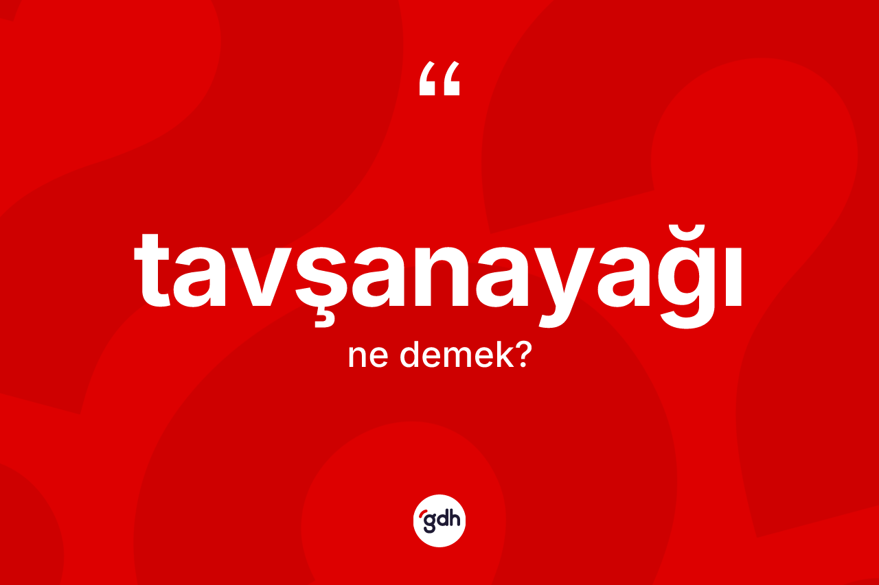 Tavşanayağı kelimesi ne anlama gelir? Tavşanayağının TDK'ya göre anlamı nedir?