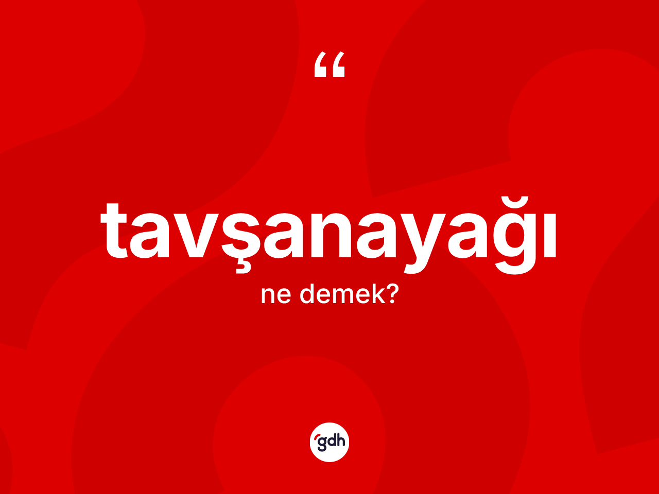 Tavşanayağı kelimesi ne anlama gelir? Tavşanayağının TDK'ya göre anlamı nedir?