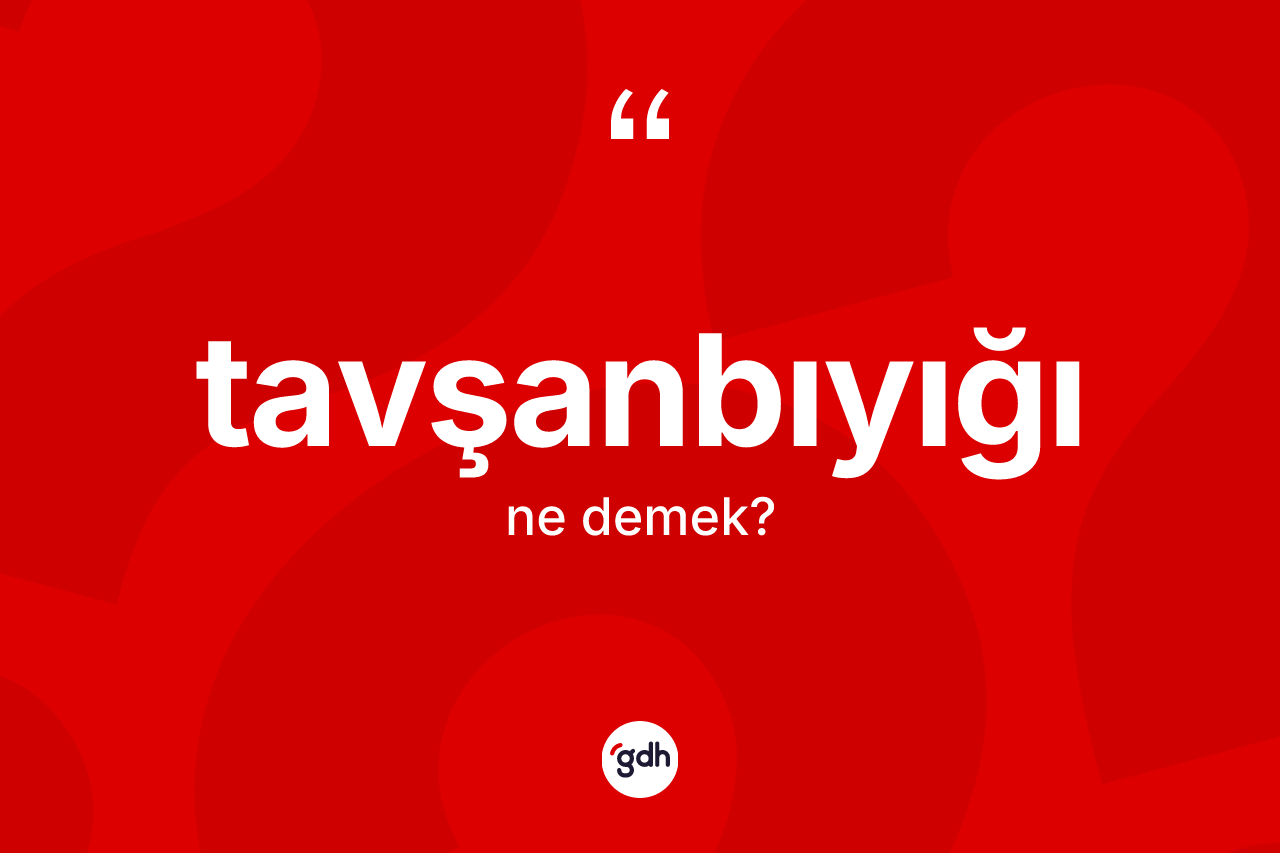 Tavşanbıyığı kelimesinin tanımı nedir? Tavşanbıyığının kısaca tanımı nedir?