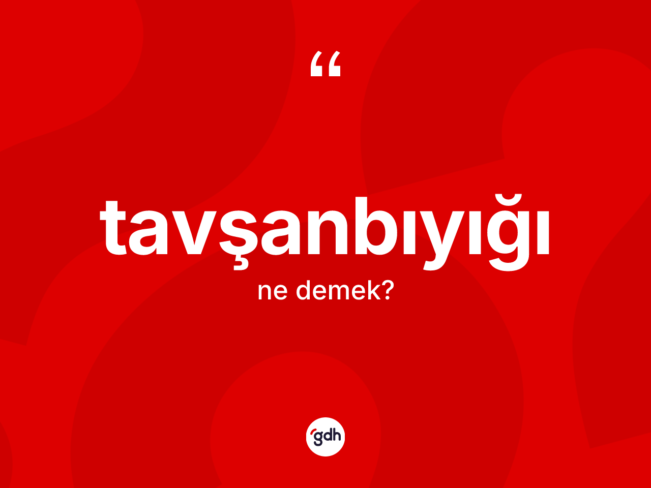 Tavşanbıyığı kelimesinin tanımı nedir? Tavşanbıyığının kısaca tanımı nedir?