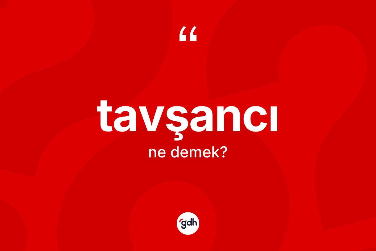 Tavşancı kelimesinin tanımı nedir? Tavşancının sözlükteki anlamı nedir?