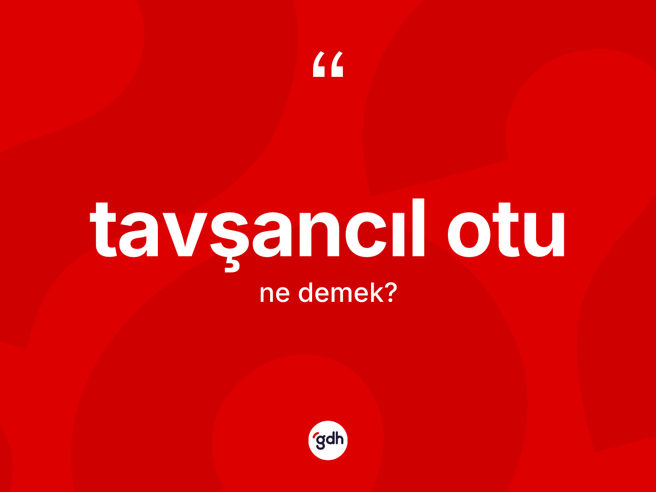 Tavşancıl otu kelimesinin tanımı nedir? Tavşancıl otunun TDK'ya göre anlamı nedir?