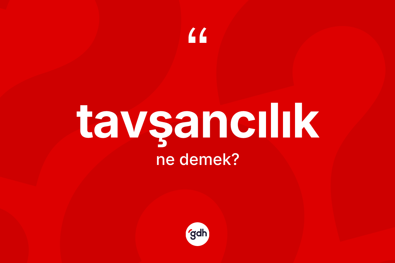 Tavşancılık kelimesinin tanımı nedir? Tavşancılık kelimesinin özellikleri nelerdir?