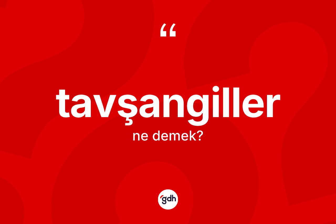 Tavşangiller nedir? Tavşangillerin TDK'ya göre anlamı nedir?