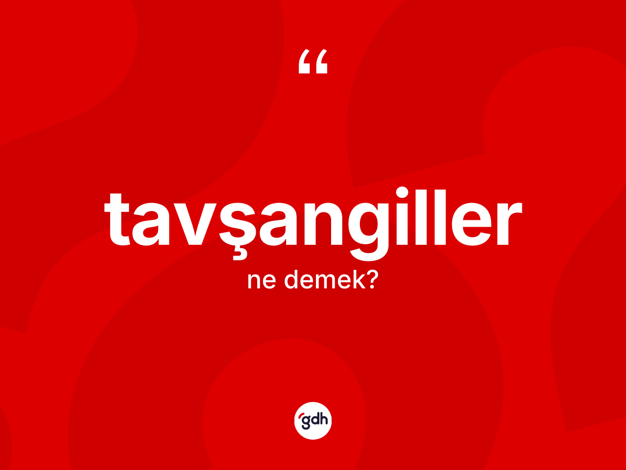 Tavşangiller nedir? Tavşangillerin TDK'ya göre anlamı nedir?