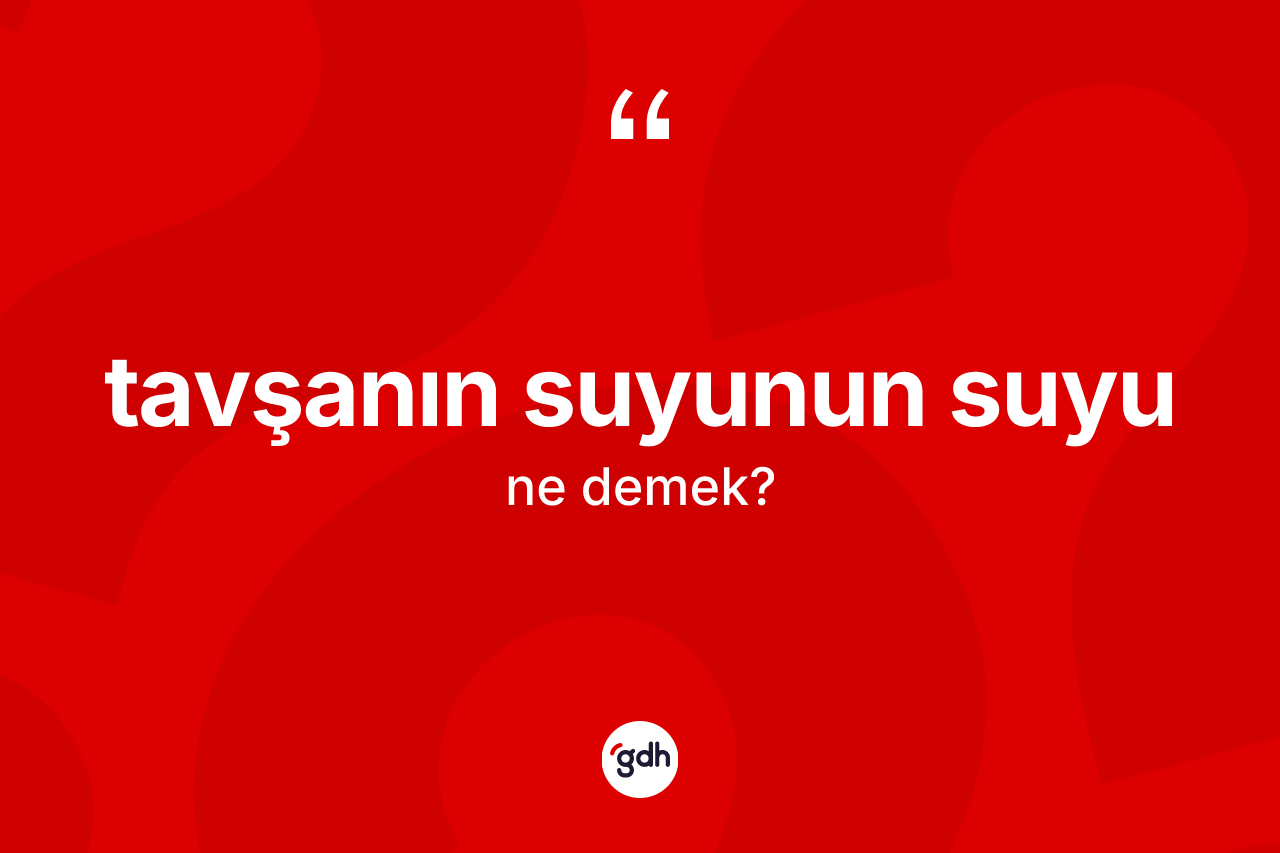 Tavşanın suyunun suyu ifadesinin tanımı nedir? Tavşanın suyunun suyu sözü nerede kullanılır?