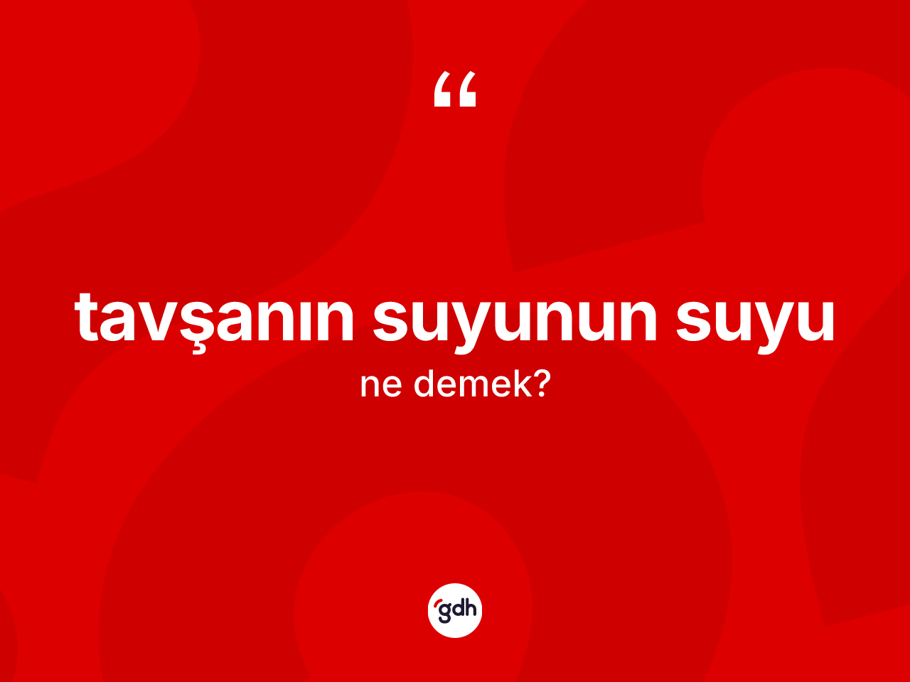 Tavşanın suyunun suyu ifadesinin tanımı nedir? Tavşanın suyunun suyu sözü nerede kullanılır?