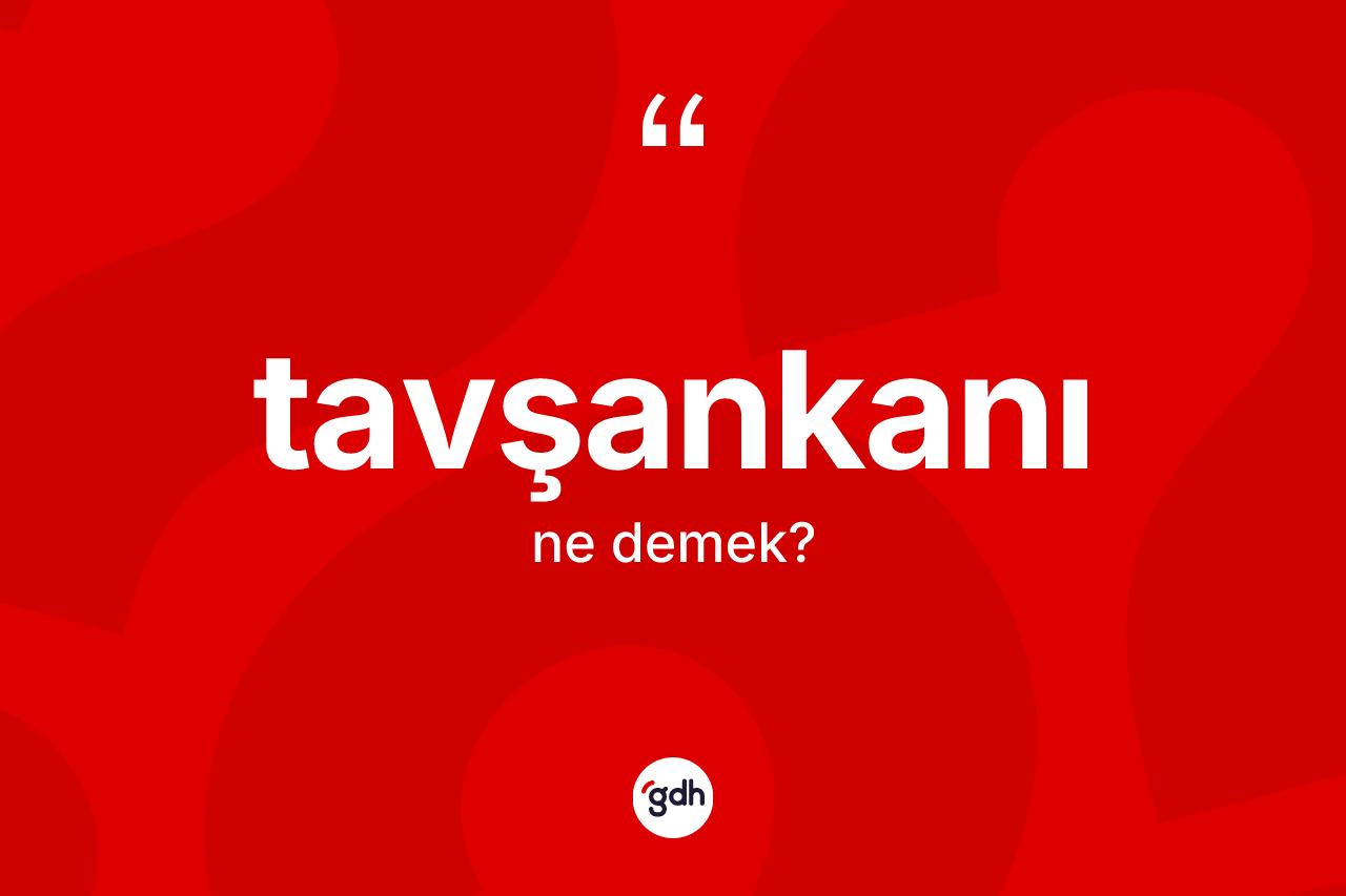 Tavşankanı kelimesi ne anlama gelir? Tavşankanının TDK'ya göre anlamı nedir?
