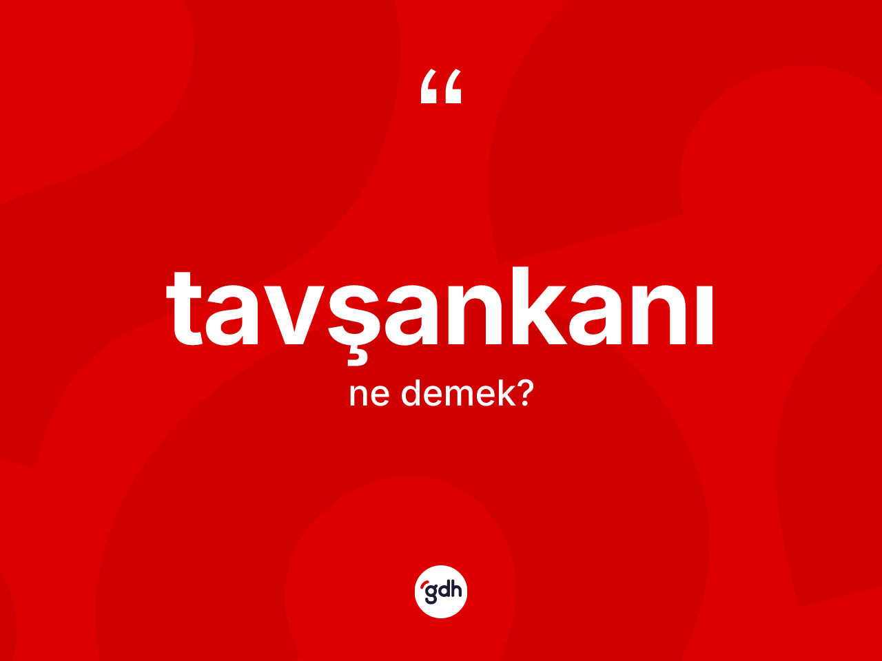 Tavşankanı kelimesi ne anlama gelir? Tavşankanının TDK'ya göre anlamı nedir?