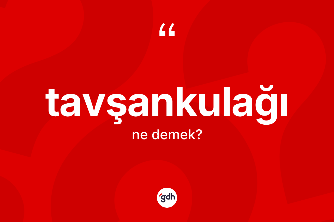 Tavşankulağı kelimesinin anlamı nedir?